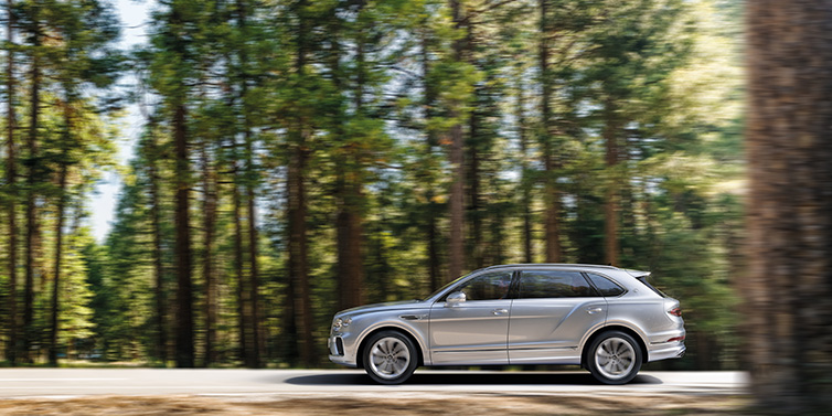 Bentley Brussels Bentley Bentayga Extended Wheelbase SUV in Moonbeam paint driving dynamically on a forest road